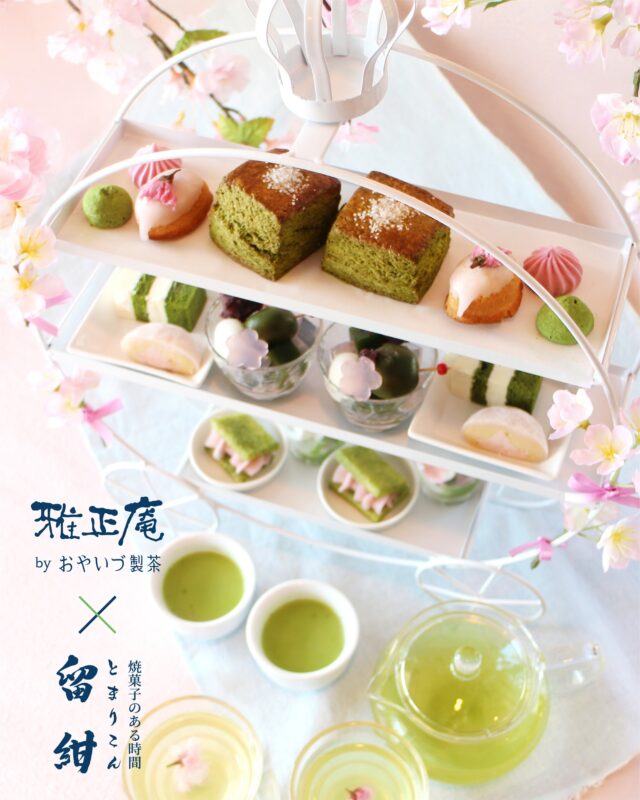 【3.7～ コラボ予告🌸】
雅正庵×留紺
～抹茶と焼菓子のある時間～

雅正庵 千代田本店・焼津西小川店にて
清水の焼菓子店 留紺(@tomari_kon_111 )との
コラボレーションを開催いたします✨

-------------------------------------

「桜×抹茶」がテーマの華やかなスイーツが楽しめる、
コラボアフタヌーンティーとスイーツプレートが登場！
店内でリベイクした❝まるで焼き立て❞のスコーンをはじめ、様々な可愛らしい春のスイーツをご堪能いただけます。

柔らかな春の陽光が差し込む店内で、
爽やかな抹茶と華やかな桜の相性を、存分にお楽しみください♪

抹茶×桜の春香るコラボスイーツ。
詳細は後日紹介いたします。お楽しみに♪

-------------------------------------

📍焼菓子のある時間 留紺(@tomari_kon_111 )
2024年、清水区下野西にオープンした、隠れ家のような焼菓子店。
店名の由来は日本の伝統色「留紺色」。店主の特別な思いが込められています。
留紺色を基調とした店内には、朝焼きのスコーンをはじめ、さまざまな焼菓子が並びます。

-------------------------------------

#雅正庵
#留紺
#桜アフタヌーンティー
#コラボメニュー
#静岡カフェ
#焼津カフェ
#静岡スイーツ
#抹茶スイーツ
#桜スイーツ
#アフタヌーンティー
#matcha
#sakura