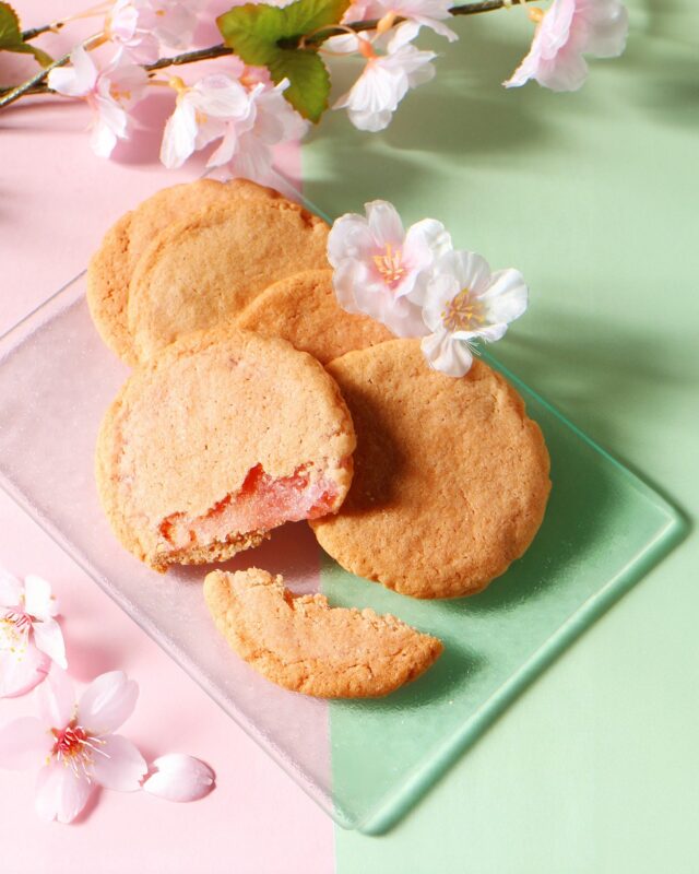 【サクもち食感🌸桜もちサブレ】

ただいま雅正庵では、春限定の新商品
『桜みるく餅サブレ』が販売中✨

-------------------------------------

＼桜餅を、サブレにしちゃいました！／

サクサクの桜香るサブレ生地の中には、
ミルキーな桜ミルクもちがたっぷりと🌸🌸

低温でじっくり焼き上げることで、
桜のやさしい香りをそのまま閉じ込めました。
ひと口食べれば、口いっぱいに桜の香りが広がります☺

単品はもちろん、ギフトでもご用意しております。
ご自宅用や春の贈り物にもぜひご利用ください♪

✅雅正庵全店舗で販売中
千代田本店 TEL：054-267-3008
焼津西小川店 TEL：054-620-7800
おやいづ本店 TEL：054-259-6786
ベイドリーム清水 TEL：054-368-7380

#雅正庵
#桜スイーツ
#春限定スイーツ
#桜もち
#桜もちサブレ
#サブレ
#焼き菓子
#静岡スイーツ
#静岡カフェ
#sakuradessert
#japanesesweets
